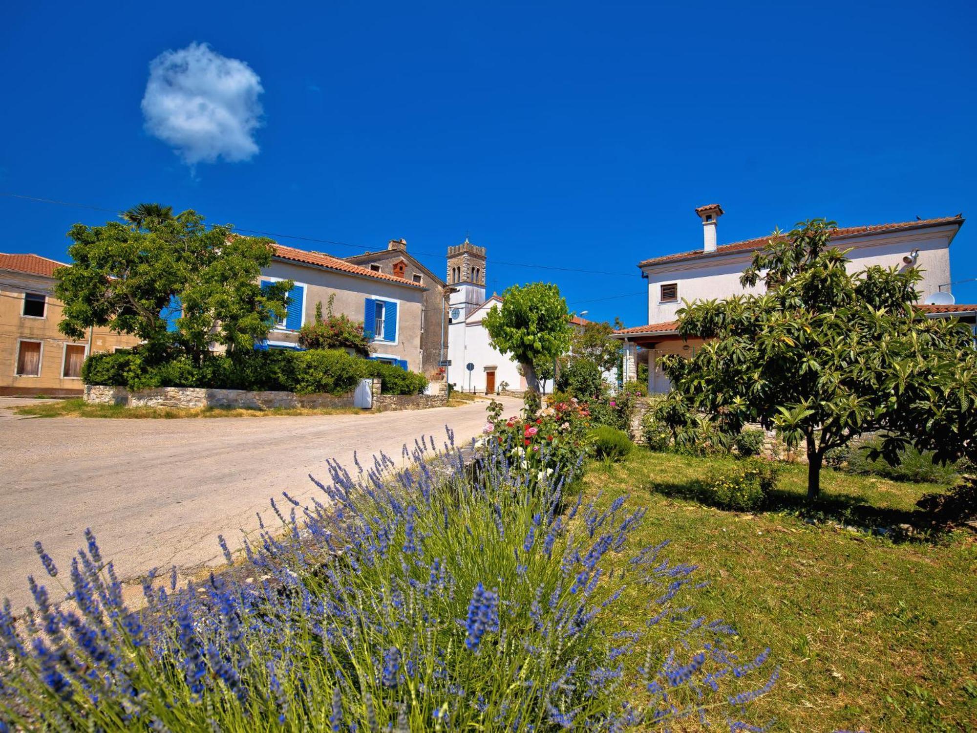 Holiday Home Villa Lucky By Interhome Brtonigla Exterior foto